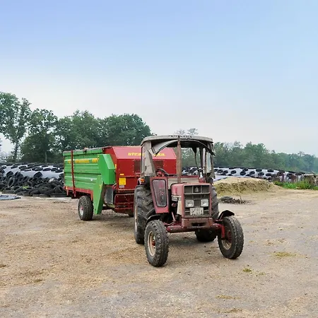 Auf Dem Bauernhof Reents